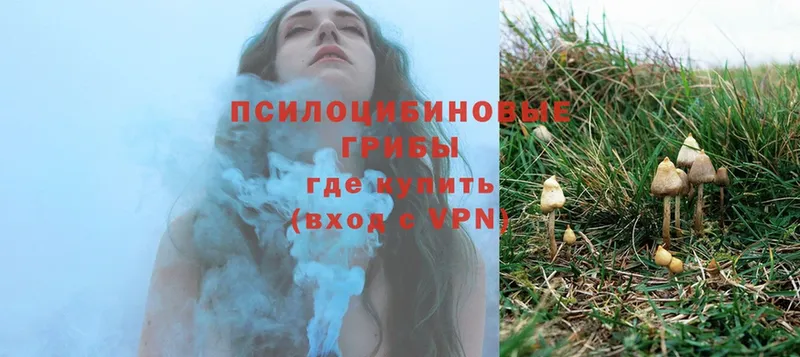 Псилоцибиновые грибы Magic Shrooms  Коркино 